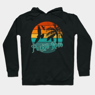 Guaraguao y Pitirre Hoodie